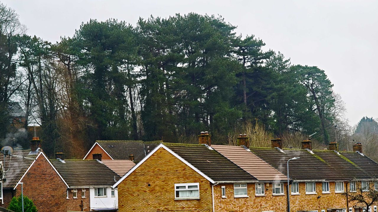 Image taken with a Poco F8 Ultra camera
