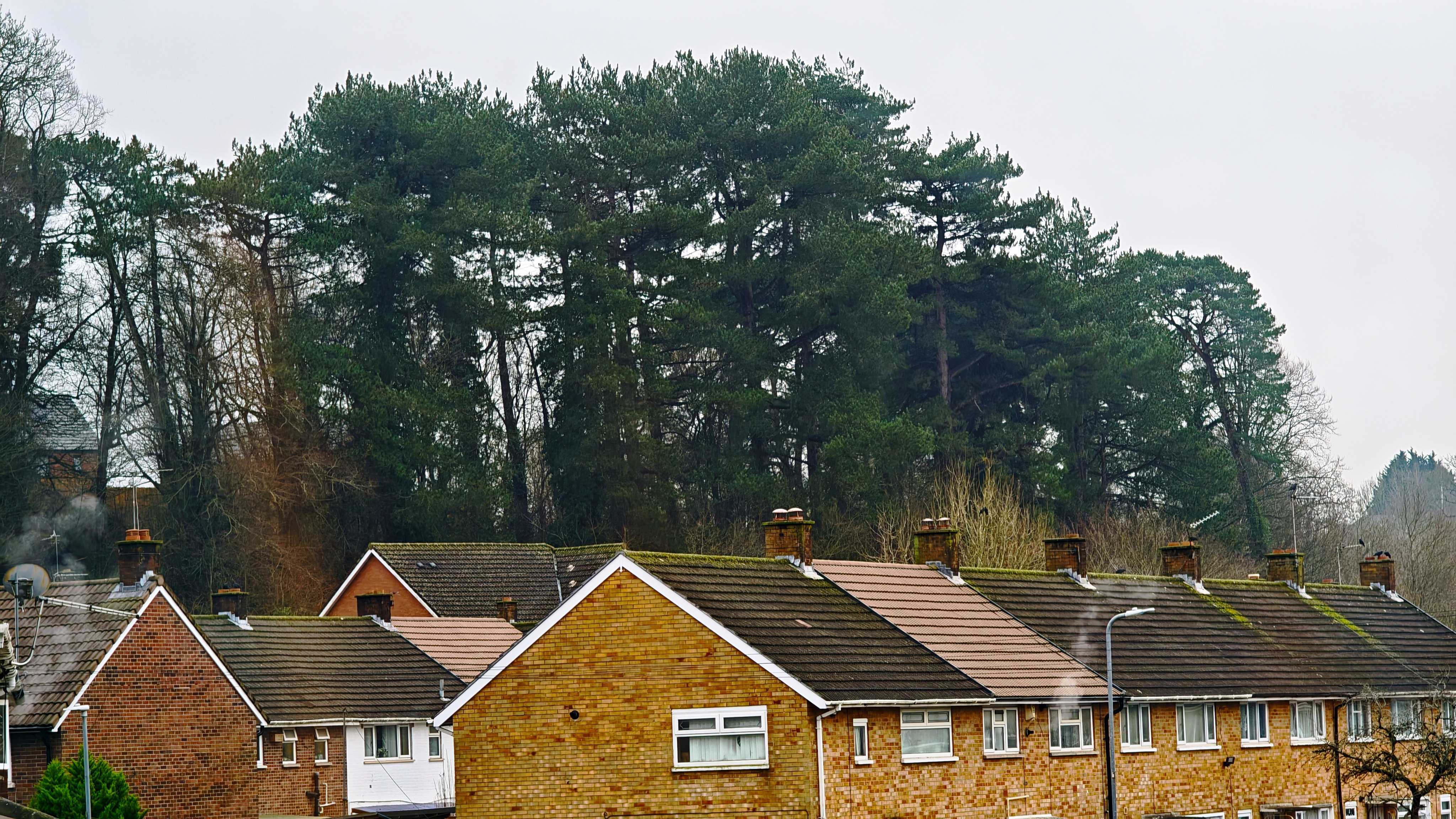 Image taken with a Poco F8 Ultra camera