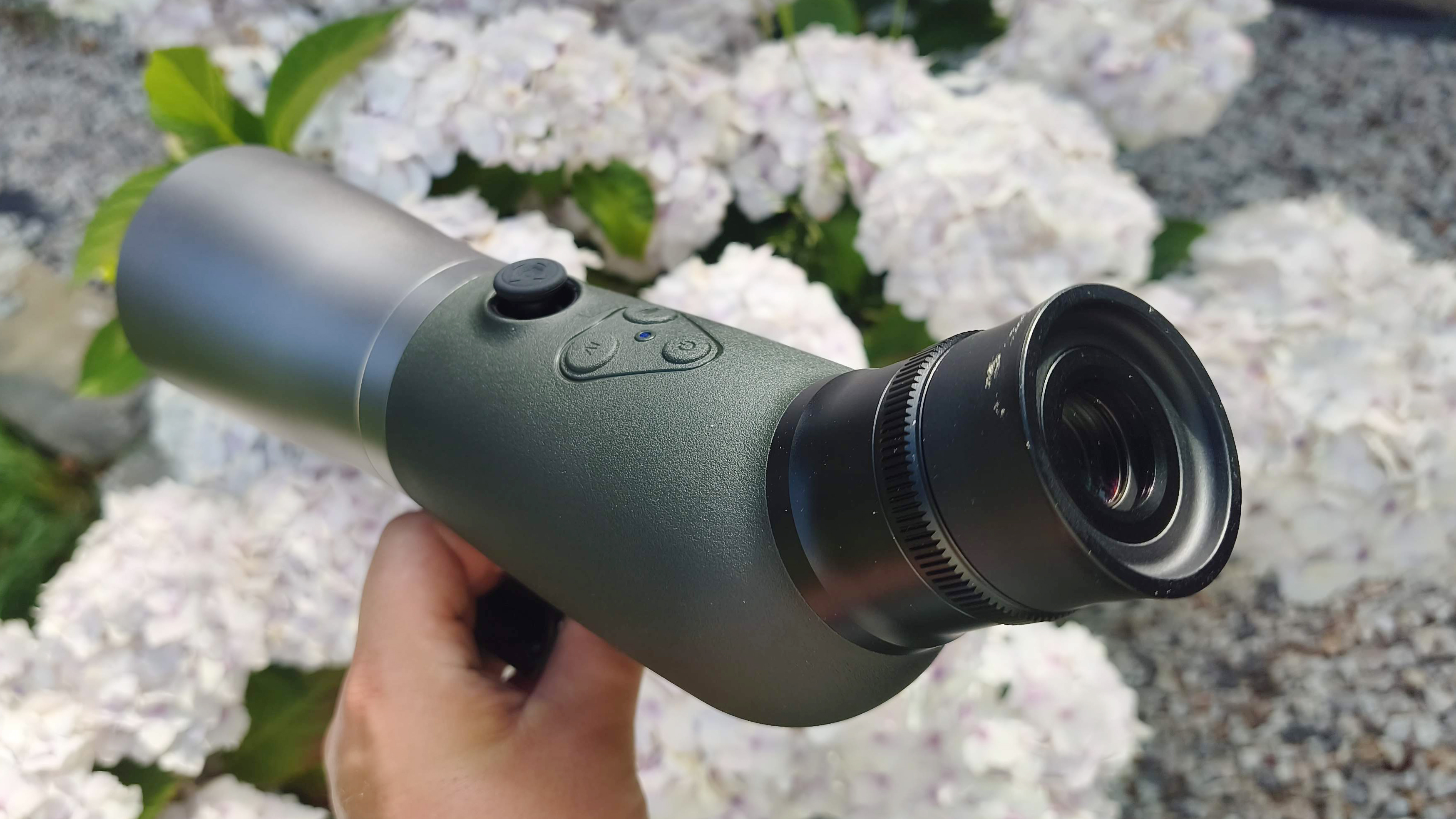 GoBirding Vision Master