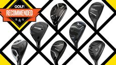 Best Hybrids for Seniors