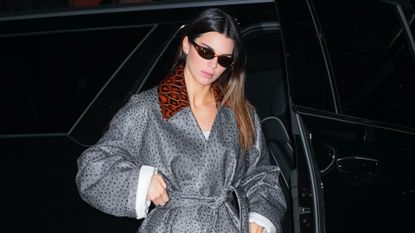 kendall jenner leopard and leather party outfit