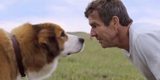 A Dog's Purpose