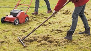 Someone using an electric dethatcher on a lawn while another collects the loose thatch with a rake