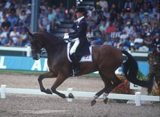 World Equestrian Games 1994