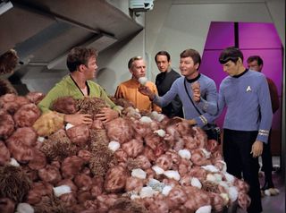 the cast of Star Trek amid a mound of fuzzy alien balls