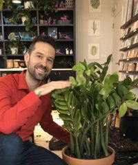 How to care for a Chinese money plant — 8 pro tips | Real Homes