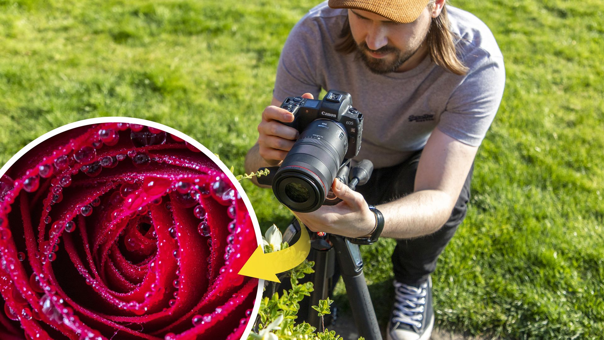 Canon RF 100mm Macro Tips Master All The Features Of Canon's Clever 