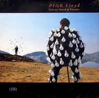 11. Delicate Sound Of Thunder (1988)