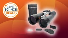 Celestron SkyMaster 25x100 on an orange background