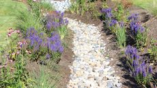 French drain with lavender