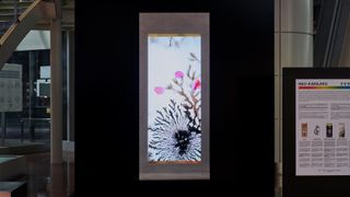 An illuminated white painting with black floral leaves in the bottom right corner and a pink leaves in the centre.