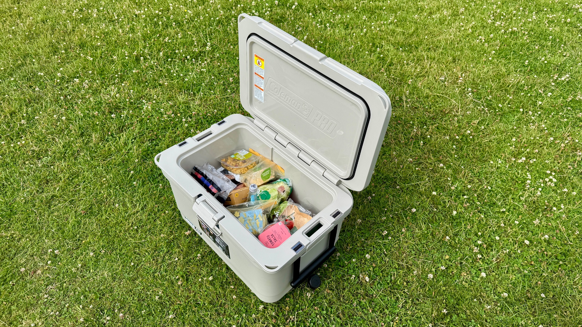 Coleman Pro 45QT