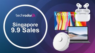 Singapore 9.9 Sales header image