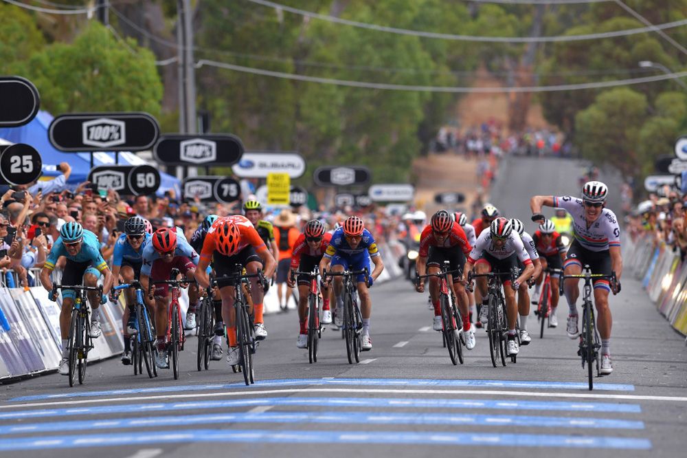 Daryl Impey (Mitchelton-Scott) celebrates as he hits the line