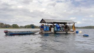 Platform used by underwater logging company CoastEcoTimber on Lago Bayano. Jasper Zehetgruber, 2023