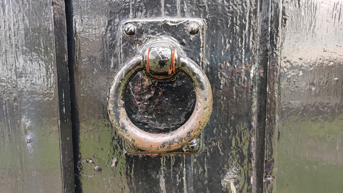 OnePlus 7T Pro camera samples
