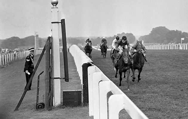 1961