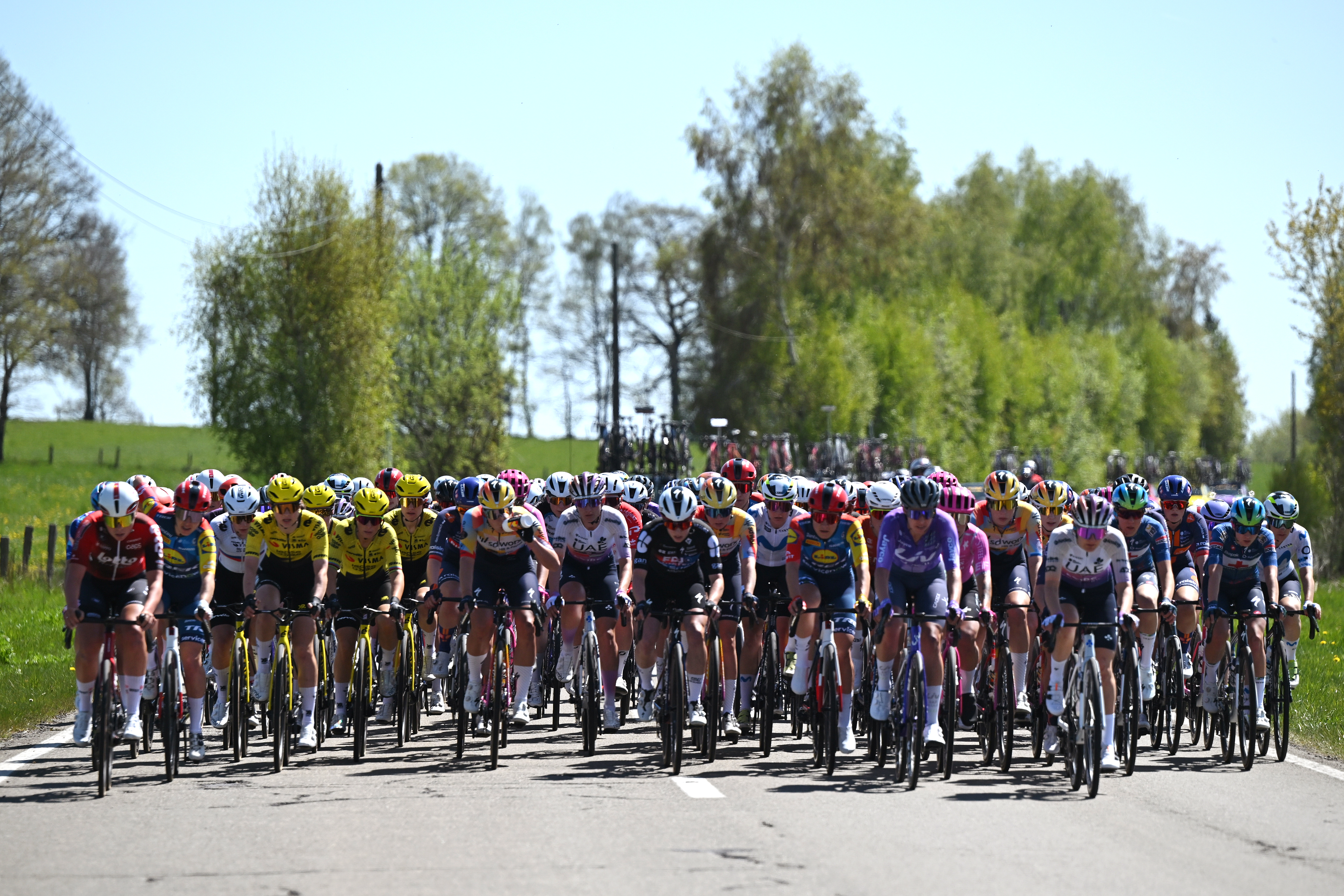 The peloton at Li&egrave;ge-Bastogne-Li&egrave;ge