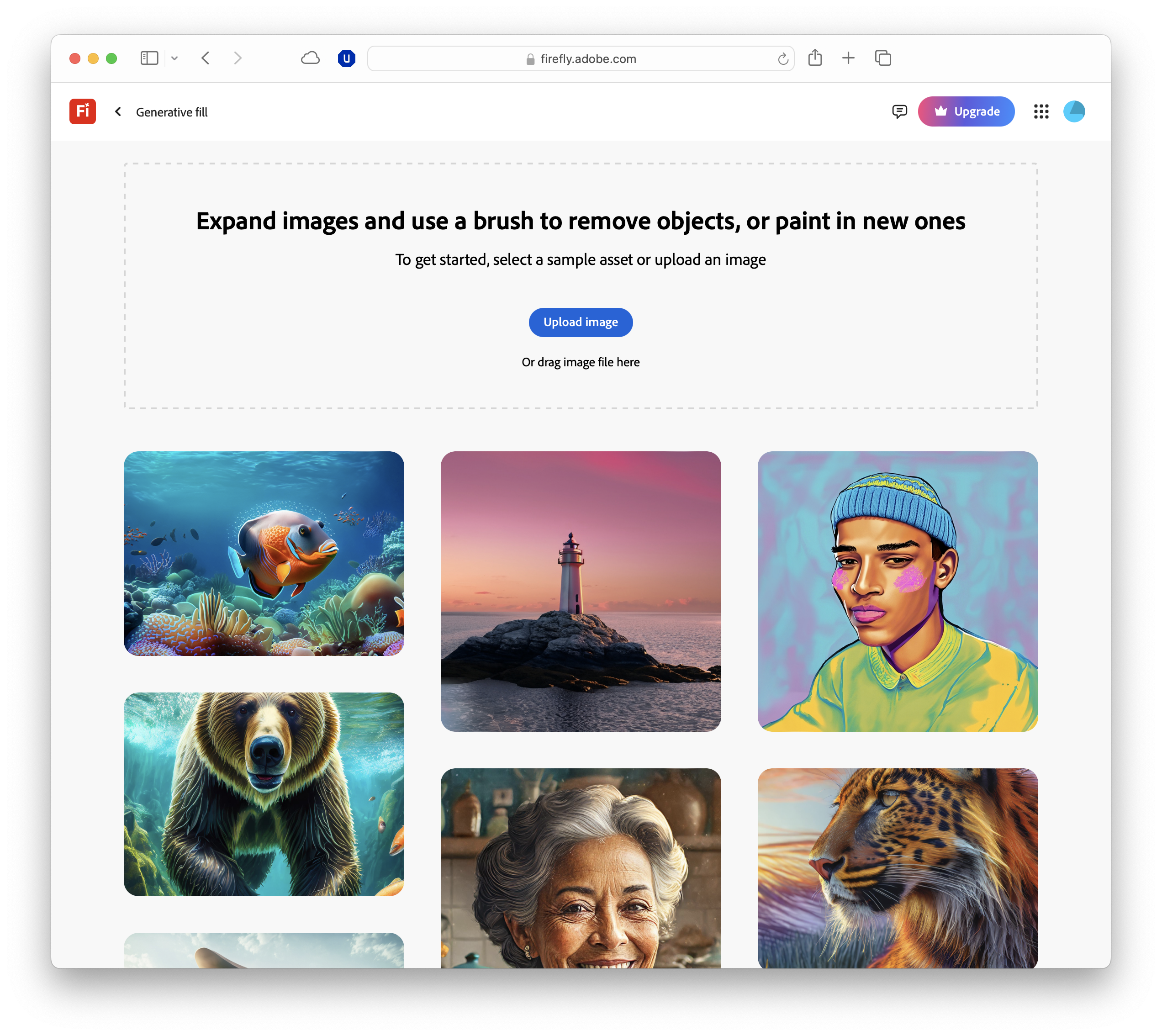 Adobe Firefly