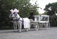 hearse2-hr.jpg