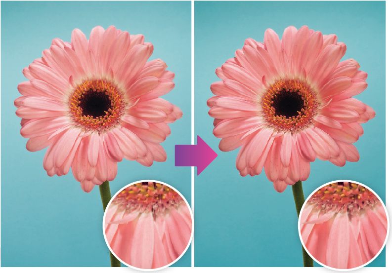 How to sharpen images like a pro using Lightroom | Digital Camera World