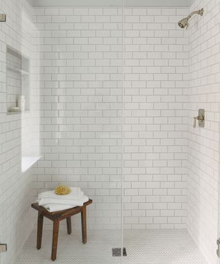 Bathroom design using Ann Sacks tiles