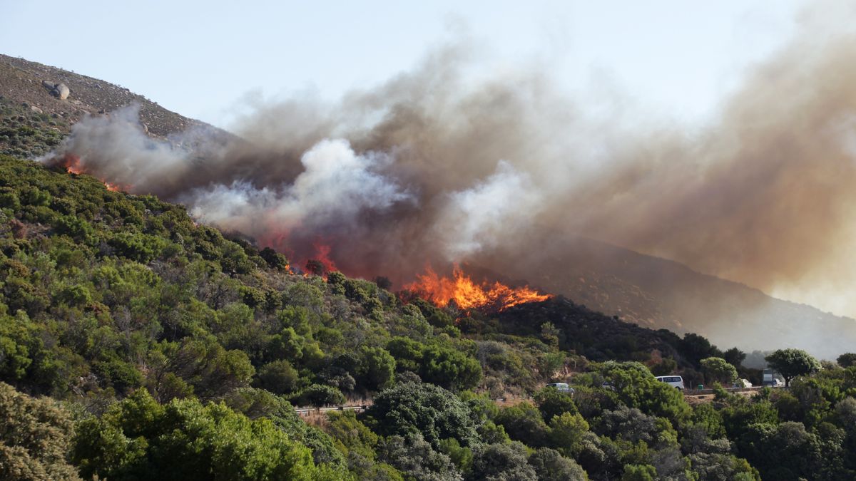 Stock image of fire on Table Mountain