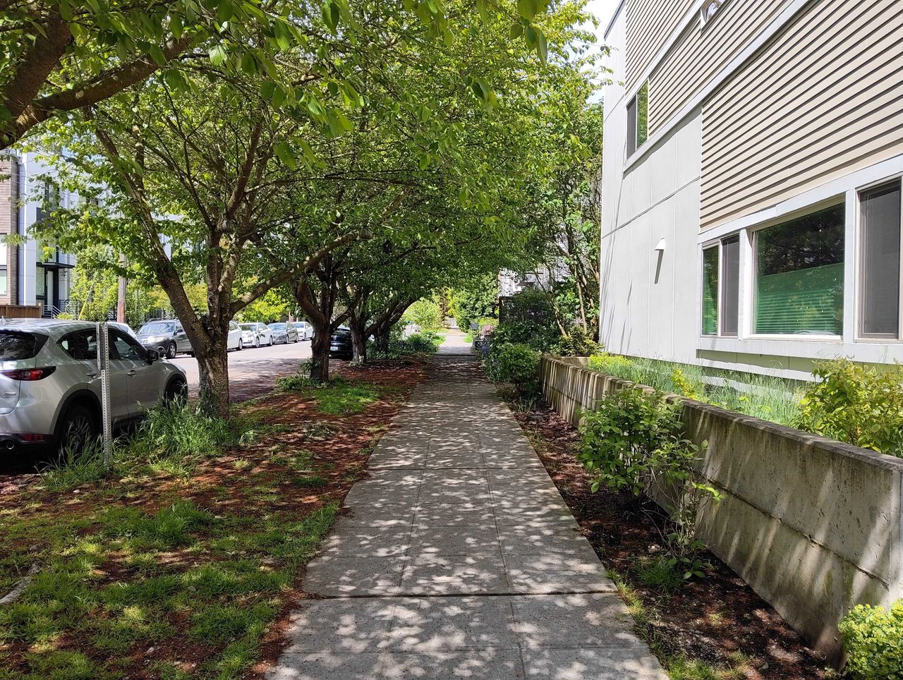 A sidewalk on a bright, sunny day with trees on one side and a building on the other