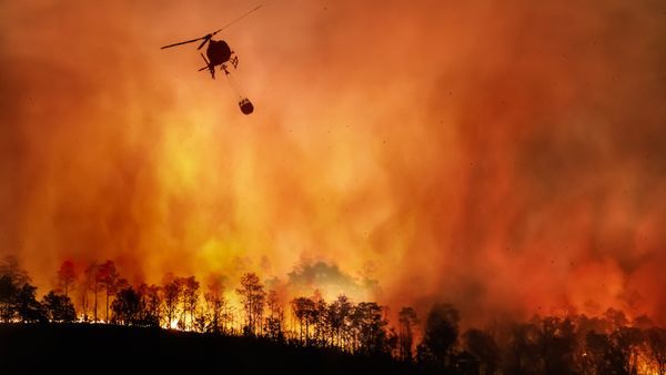 a silhouetted forest of black trees lines the bottom as smoke billows upward into an all-engulfing orange haze. The silhouette of a helicopter carrying a water pouch hangs in the air.