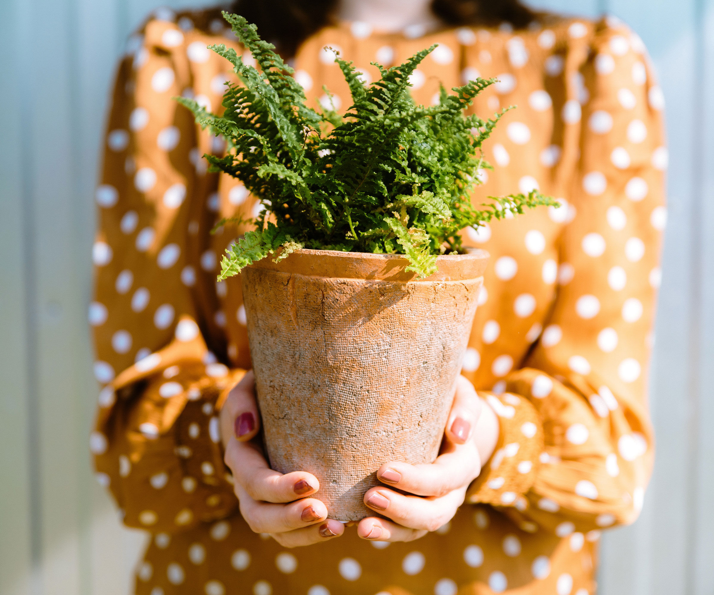 potted fern being held by woman in spotted top