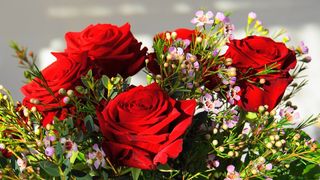 Valentine's Day is Friday - last chance to order flowers with up to 25% off