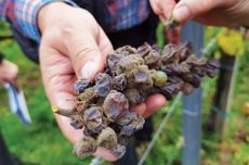 Editors’ picks January 2023