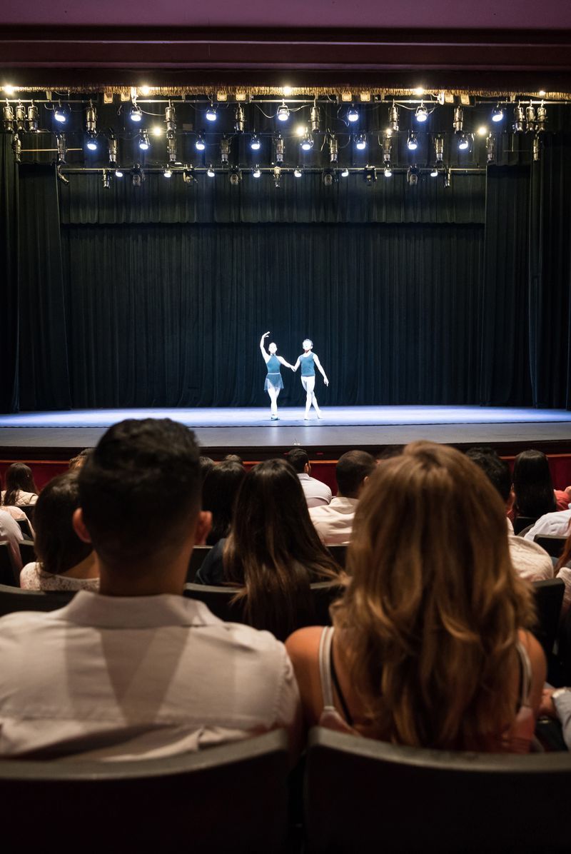 Support the Local Arts