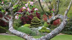 Scotland's Garden Scheme: Redcroft