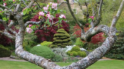 Scotland&#039;s Garden Scheme: Redcroft