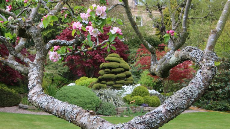 Scotland's Garden Scheme: Redcroft