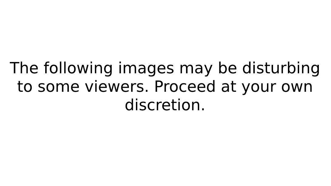 Image disclaimer