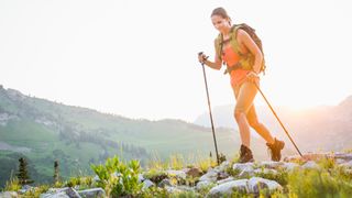 A woman hiking in the summer