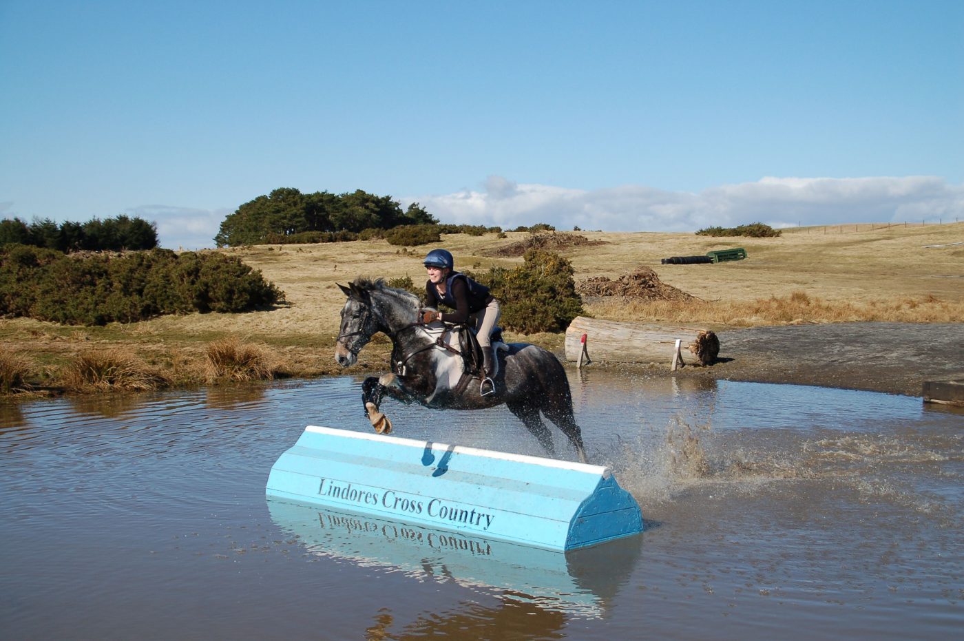 Lucas_Credit-World-Horse-Welfare-e1552989328117.jpg