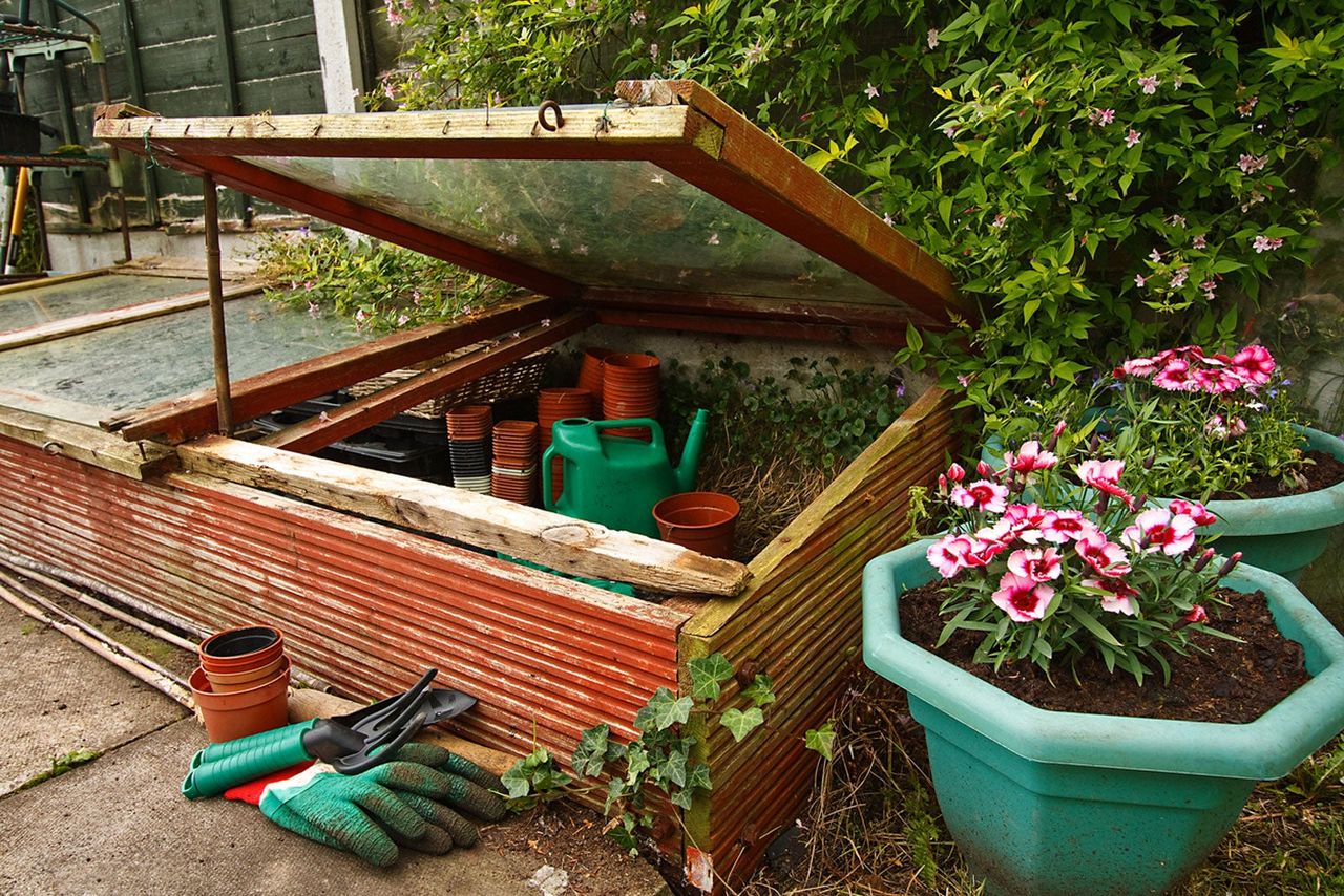 Hot Bed Box In Garden Next To Potted Flowers