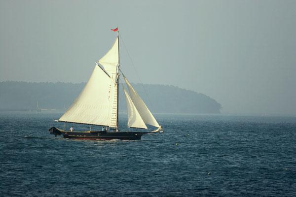 sailboat in wind