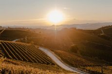 Barbaresco Riserva 2016