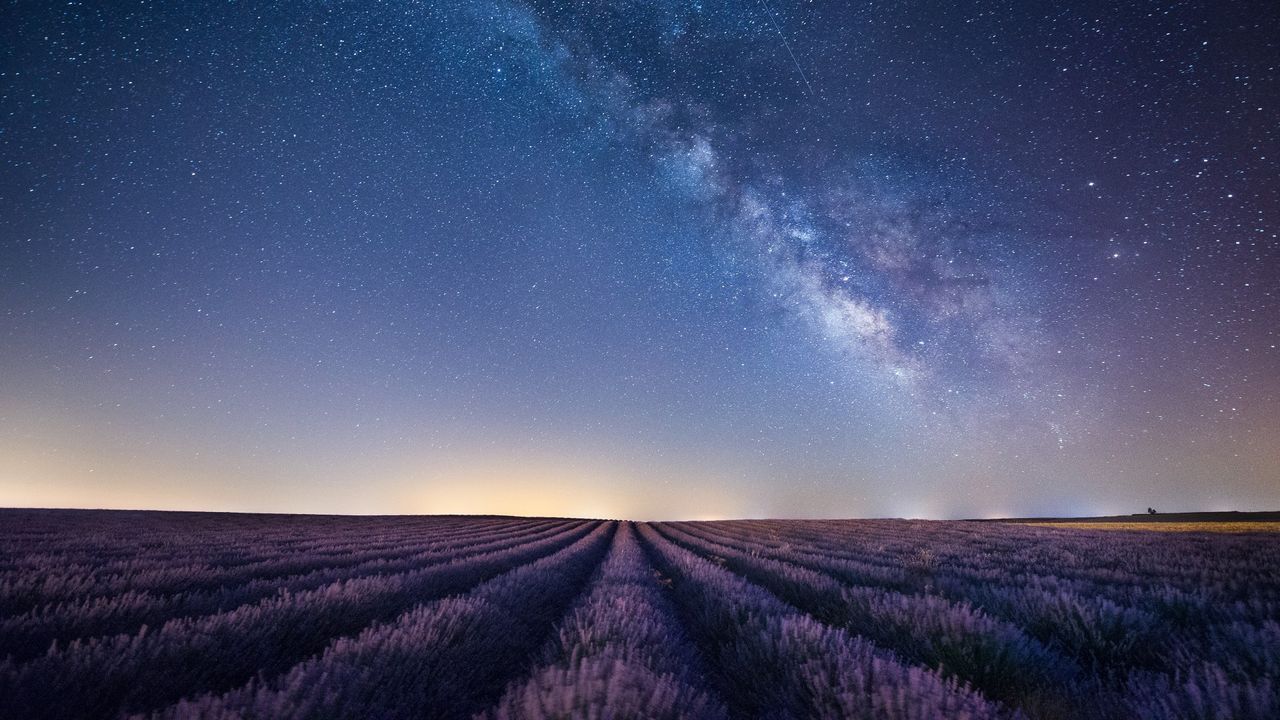 France, Provence, Lavender fields with milky way at night