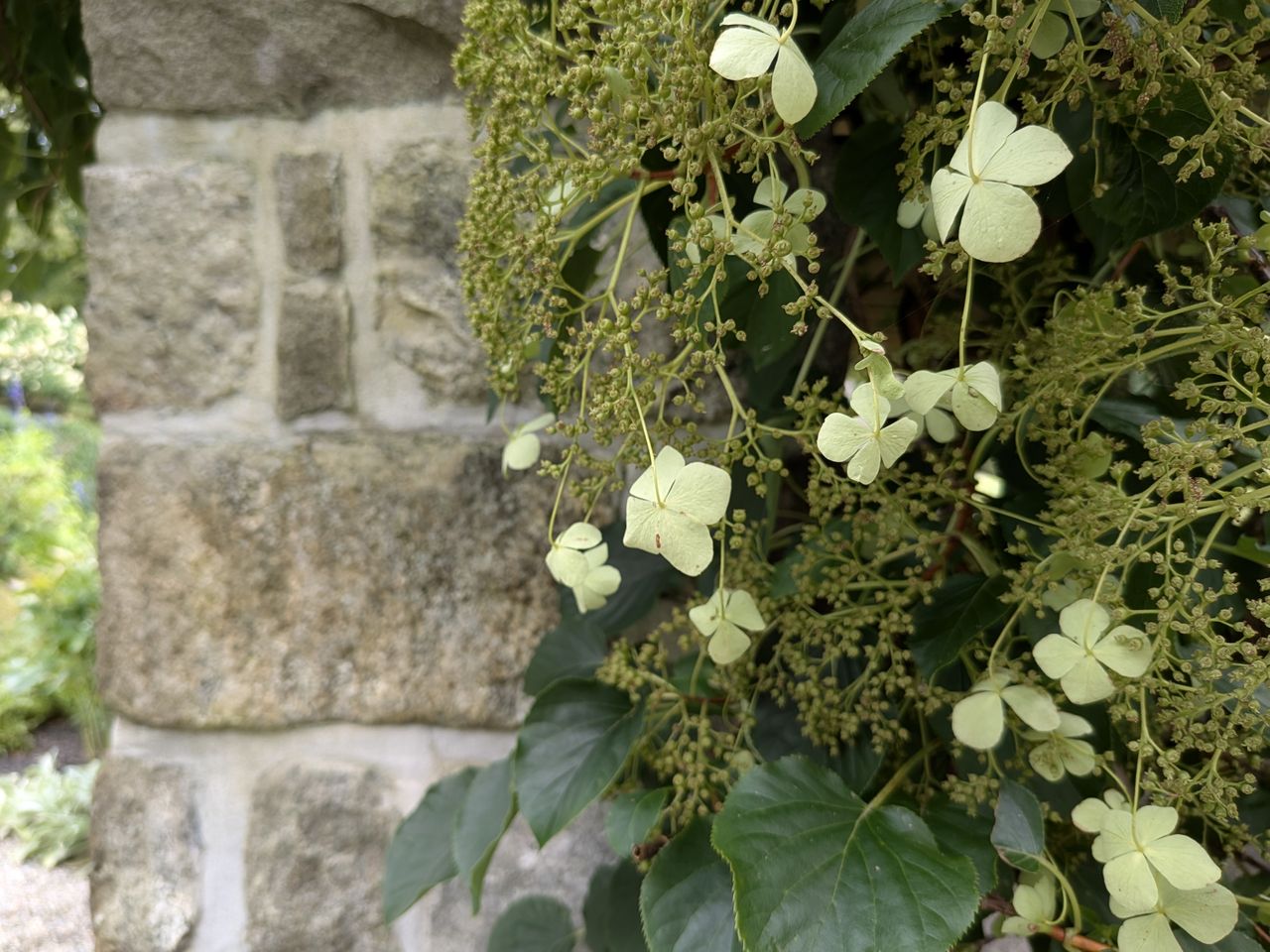 Google Pixel 9 Pro Fold camera image samples