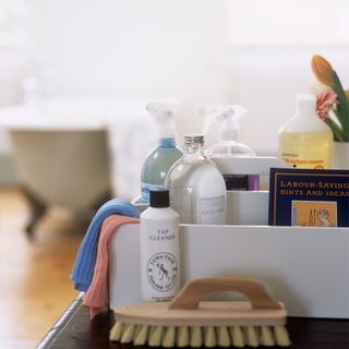 clean bathroom with cleaning products