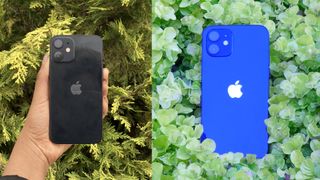 iPhone 12 mini vs. iPhone 12