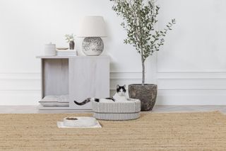 A cat lounging on a cat bed from the Nate Berkus and Jeremiah Brent PetSmart collab