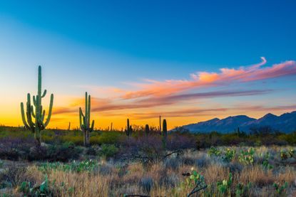 Scenic view of field against sky during sunset, Tucson, Arizona