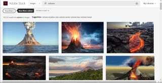 Adobe Stock search interface