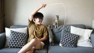 Two kittens playing with owner on the couch